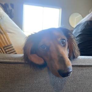 Fundraising Page: Jordan Himes